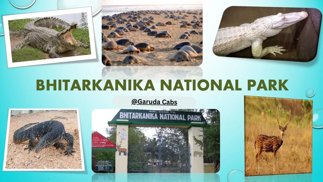 Bhubaneswar to Bhitarkanika by Road – Distance, Route Map, Travel Time & Road Trip Guide